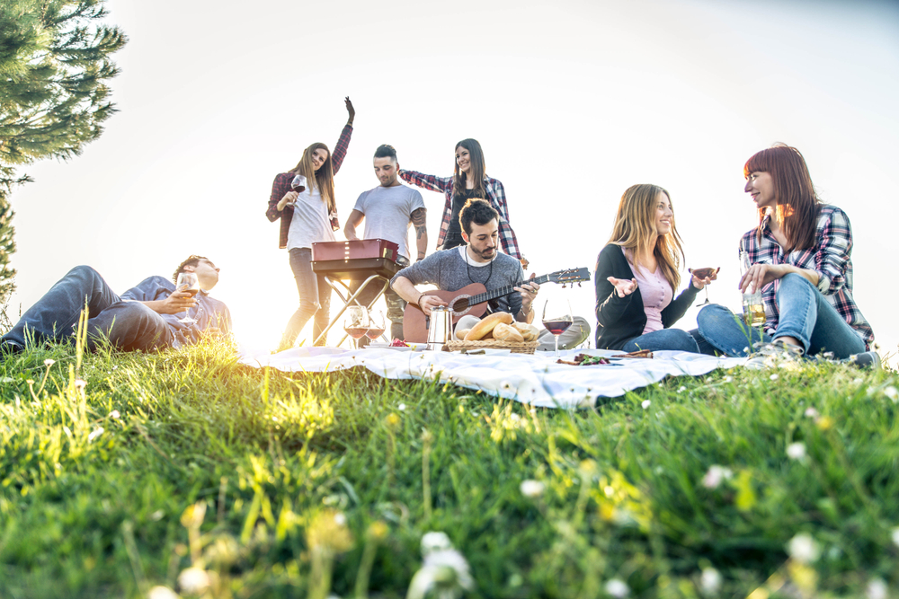 Friends Having a Picnic - Cigno Loans